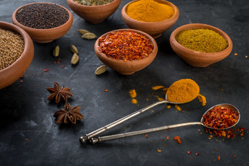 Different colorful spices in  spoons  on a dark  background.