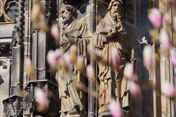 Fototapeta na wymiar Aachen Münster Frühjahr Magnolienblüten 9