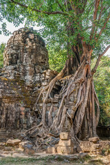 Fototapeta premium Cambodia Angkor Complex 360 