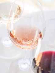 Wine tasting in Alentejo region, Portugal