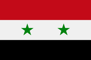 Syria Flag Vector Flat Icon