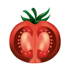 half tomato fresh healthy food vector illustration design