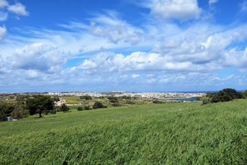 Fototapeta na wymiar Cereal field nearby Marsaskala at the Mediterranean Sea in Malta 