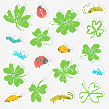 Sticker set with clover leaves and insects. Collection with cute bugs, ladybirds, dragonfly, caterpillar.
