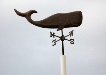 Retro iron cast sperm whale  Weathervane on top of a beach house