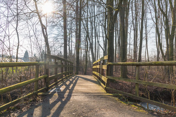 wooden bridge with sun