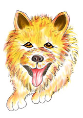 Yellow dog portrait digital art