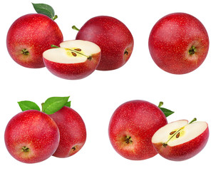 Fresh red apples with leafs isolated on white background with clipping path