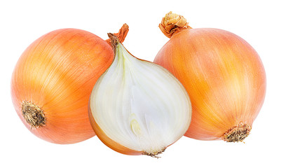 Fresh onion isolated on white background  with clipping path