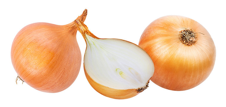 Fresh onion isolated on white background  with clipping path