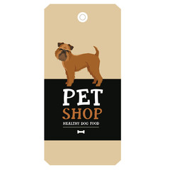 Poster Pet Shop Design label Griffon Bruxellois Geometric style