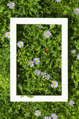 Creative layout made of flowers and leaves with White frame. Top view. Nature concept