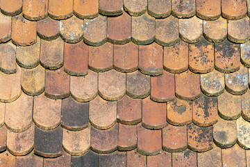 red tiles at the roof as harmonic background