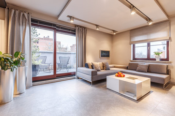 Brown living room interior
