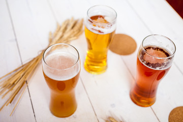 glasses of assorted beer with wheat on a wooden table background for tasting