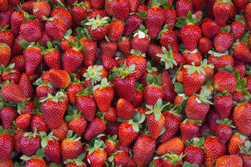 background from freshly harvested strawberries, directly above