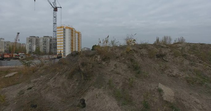 Homeless dogs on hill, Landscape Construction of residential houses, construction site