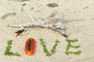 Word ‘Love’ on the beach,handwritten with green leaves on brown sand with space for your text and design. Concept be used for card, wallpaper and symbol of heart or love for Valentine’s Day.