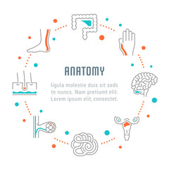 Website Banner and Landing Page of Anatomy.