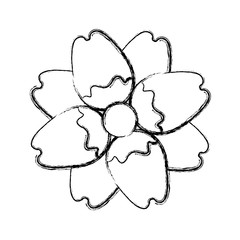 cute flower decorative icon vector illustration design