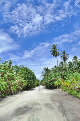 Fototapeta na wymiar Sandy road on Maldive island