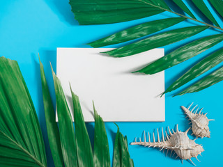 tropical summer flatlay and minimal concept from white area on center with conch shell and palm leaf decoration on blue pastel background with copy space