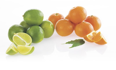Limes and tangerines. Isolated on white background