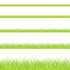Grass border seamless pattern set, spring collection isolated on transparent background, vector illustration
