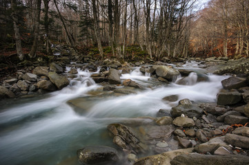 Torrent winter, the flow of water brings peace and serenity.