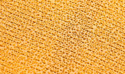 Drops of water on orange plastic as background