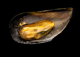 Mussels in the sink on a black background