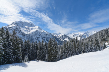 Fototapeta na wymiar winter wonderland in Austria 