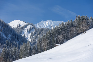 winter wonderland in Austria 