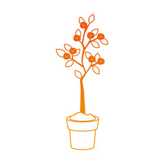 Plant growing on pot on orange lines vector illustration