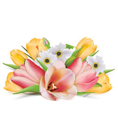 A bouquet of spring flowers. Tulips, crocuses, anemones. Vector illustration