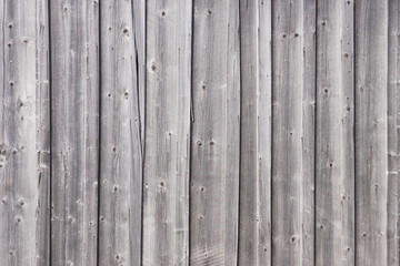 Wall of dry wooden boards in a natural environment.