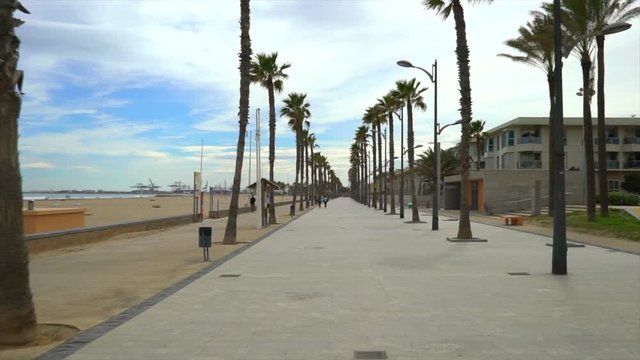 beautiful day walking on the beach
