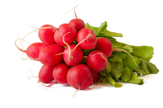 Rote Radieschen