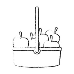 Apples on basket on black and white sketch colors vector illustration
