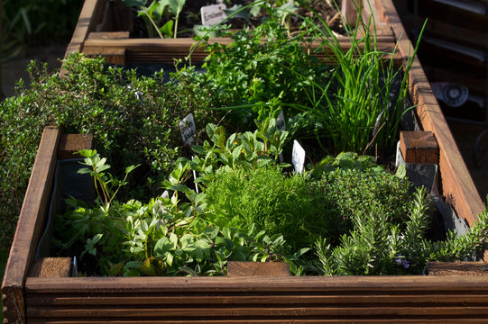 Hochbeet im Garten an der Terrasse