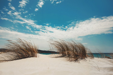 the dunes in Sardinia