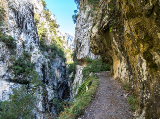 Spanien - Kantabrien - Picos de Europa - Garganta del Cares