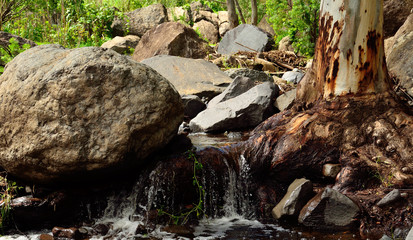 Ravine with large rocks, eucalyptus root and natural water, Valsequillo, Canary islands