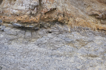Roca