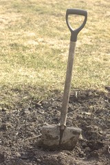 Shovel in the soil with lawn background