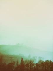 Obraz premium morning fog with beautiful back light and trees