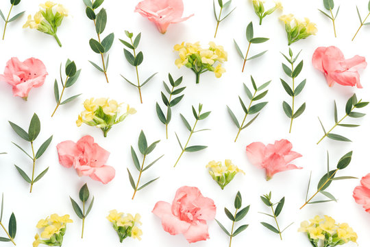 Spring Pattern With Green Leaves And Colorful Flowers