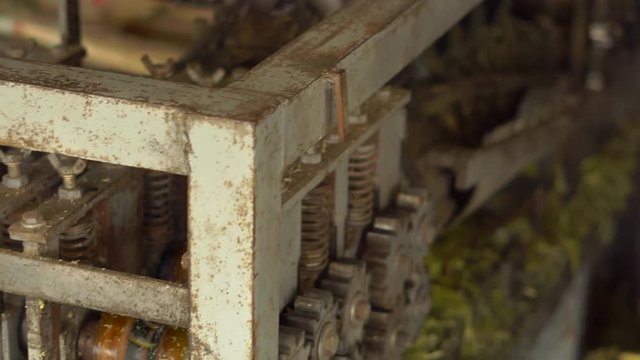 Processing of a raw sugar cane. Sugar production