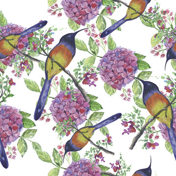 Backgroundless. Watercolor flowers, patterns, birds. Basis for design. Tropics, exotics