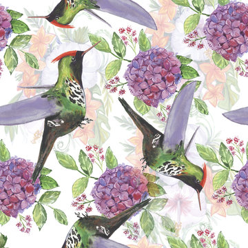 Backgroundless. Watercolor flowers, patterns, birds. Basis for design. Tropics, exotics